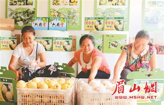 仁壽農(nóng)副產(chǎn)品 借力電商東風(fēng)，香飄海外市場