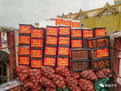 芒市270余噸農(nóng)副產(chǎn)品馳援青浦，跨越千里的“蔬”送情誼