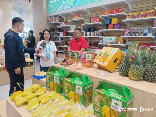 脫貧地區(qū)40余萬款農(nóng)副產(chǎn)品匯聚惠州，產(chǎn)銷對接精準發(fā)力促農(nóng)增收