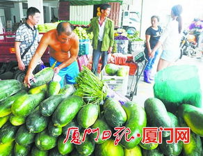 閩南農(nóng)副產(chǎn)品物流中心試營業(yè)，構(gòu)筑區(qū)域“菜籃子”新樞紐